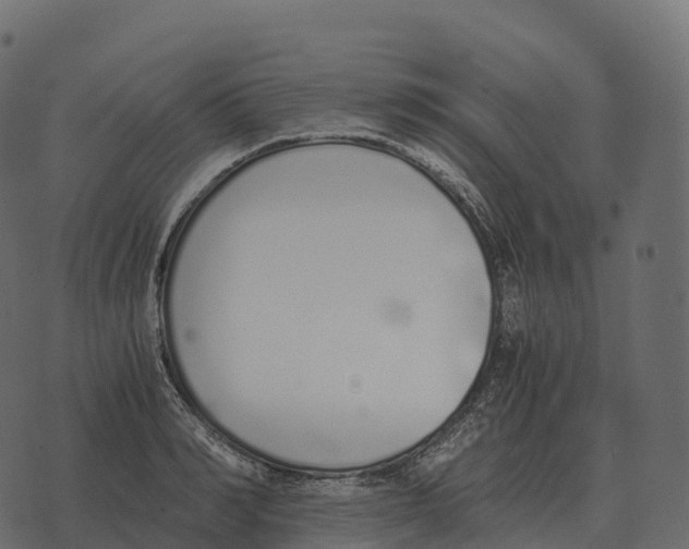 X0000073450990200608251701