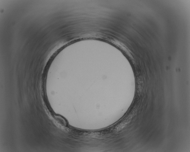 X0000073450991200608251701