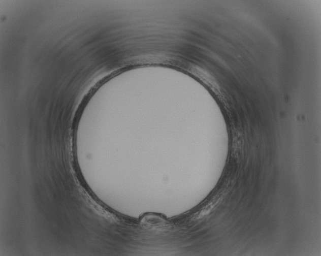 X0000073450992200608251701