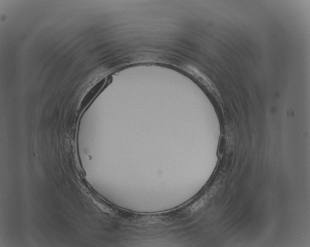 X0000073450993200608251701