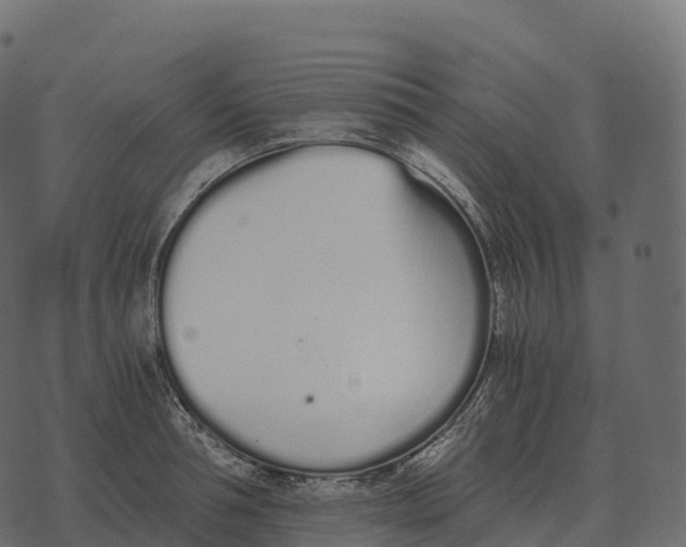 X0000073450994200608251701