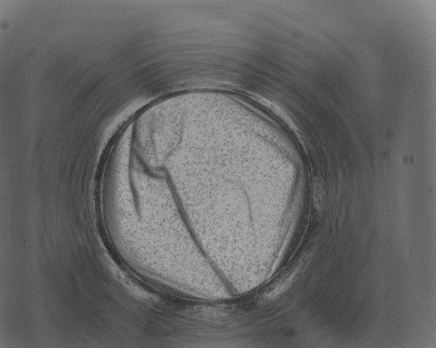 X0000073450995200608251701