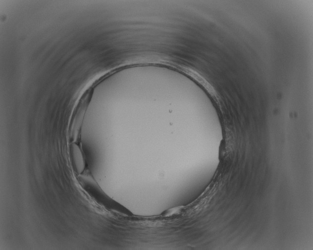 X0000073450996200608251701