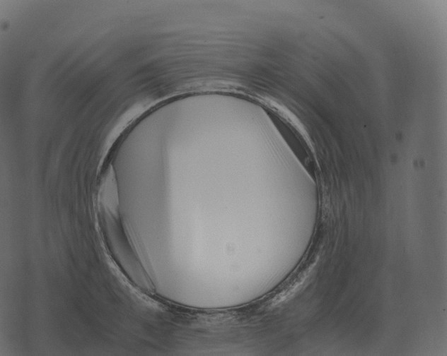 X0000073450997200608251701