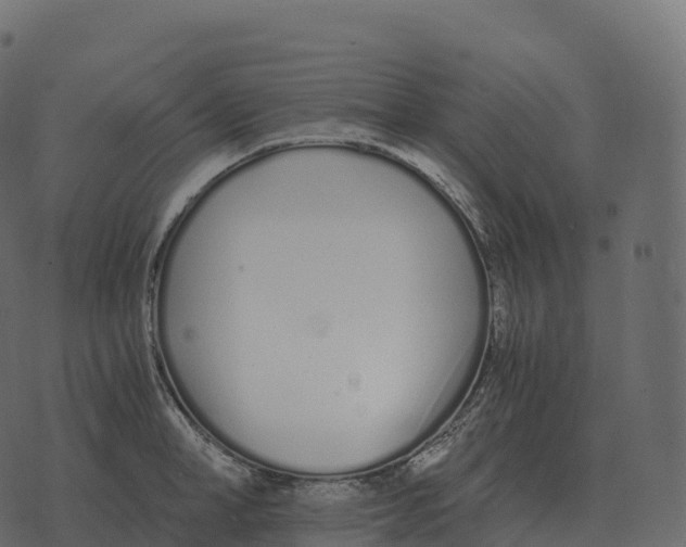 X0000073450998200608251701