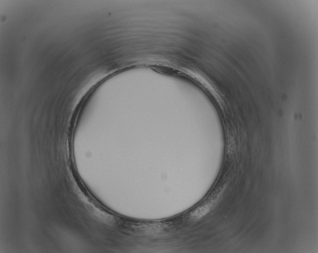 X0000073450999200608251701