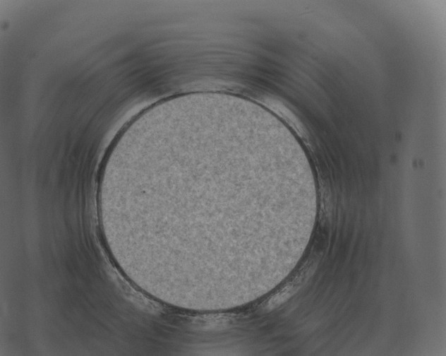 X0000073451000200608251701