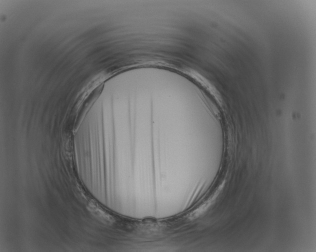 X0000073451001200608251701