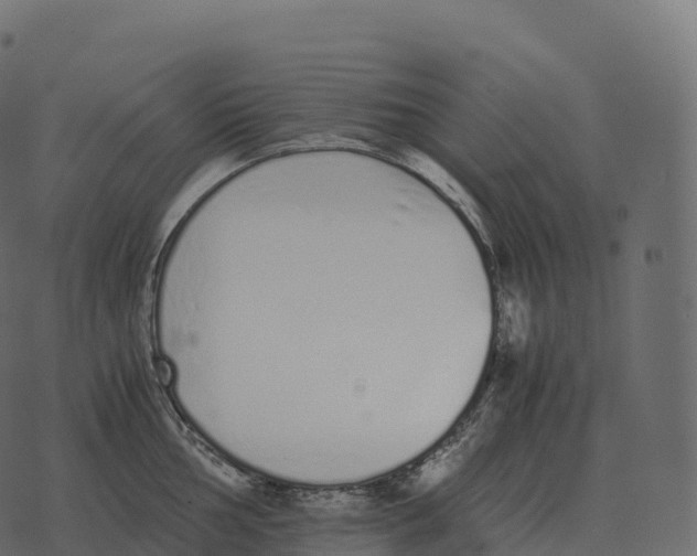 X0000073451002200608251701