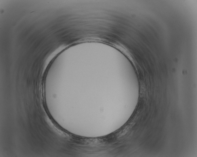 X0000073451003200608251701