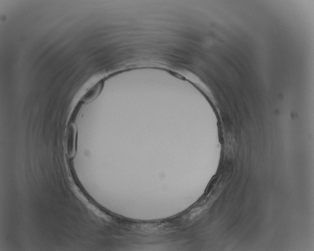 X0000073451005200608251701