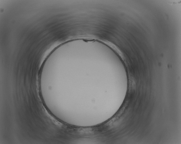 X0000073451006200608251701