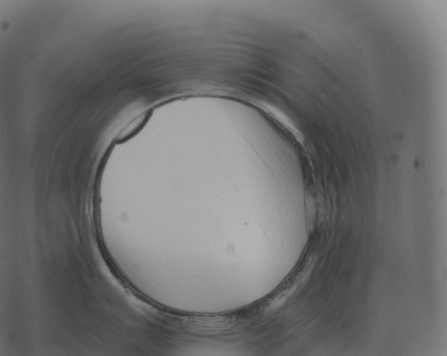 X0000073451007200608251701