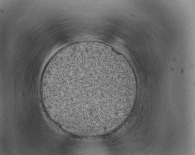 X0000073451008200608251701