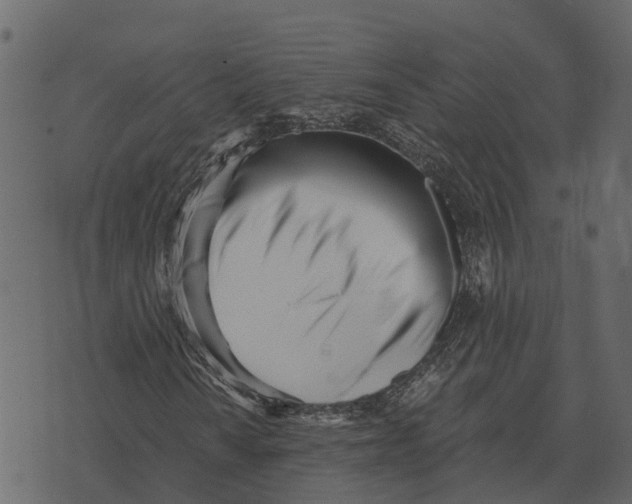 X0000073451010200608251700