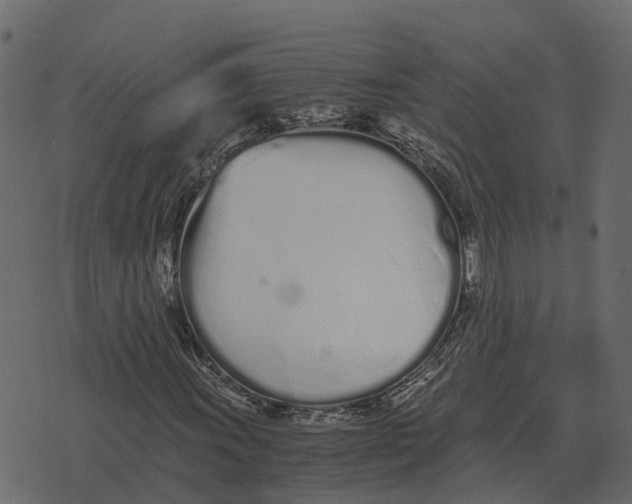 X0000073451011200608251700