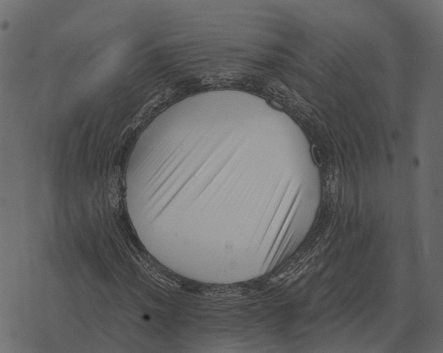 X0000073451012200608251700