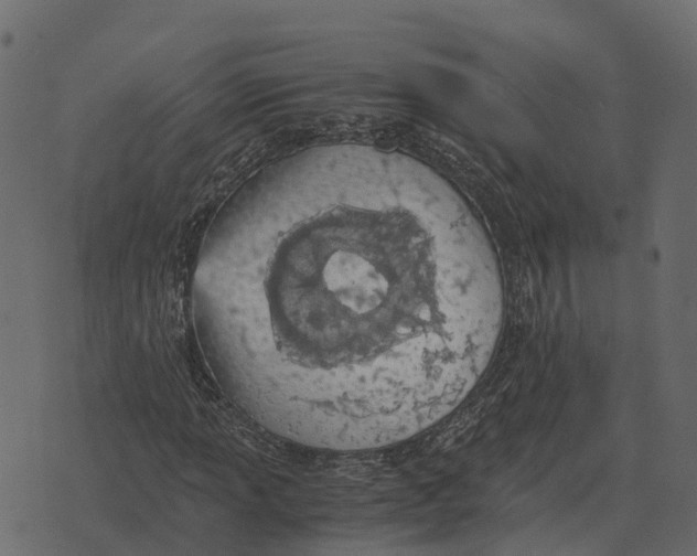 X0000073451013200608251700