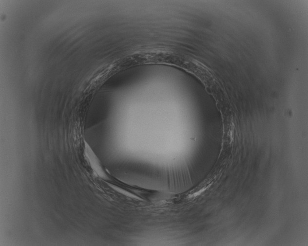 X0000073451014200608251700