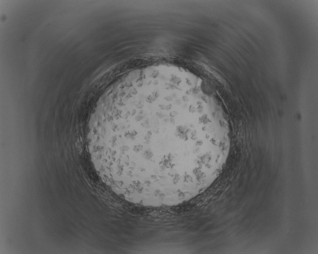 X0000073451015200608251700