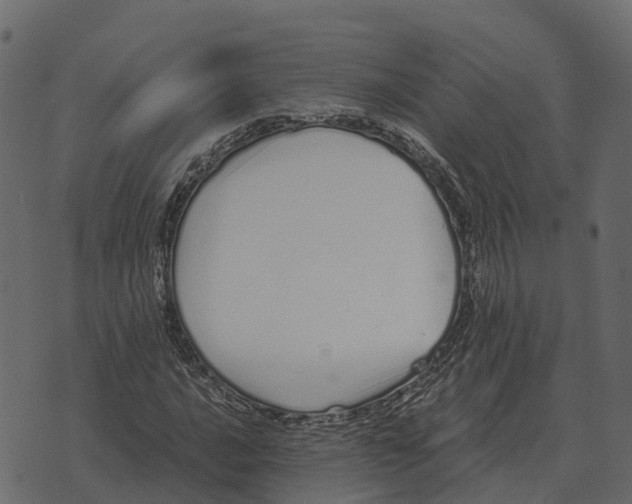 X0000073451016200608251700