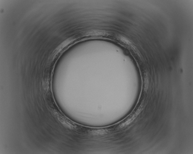 X0000073451017200608251700