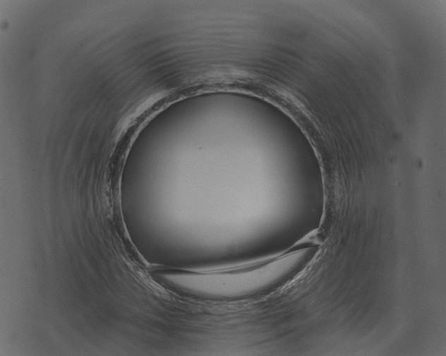 X0000073451018200608251700