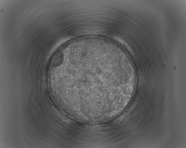 X0000073451019200608251700