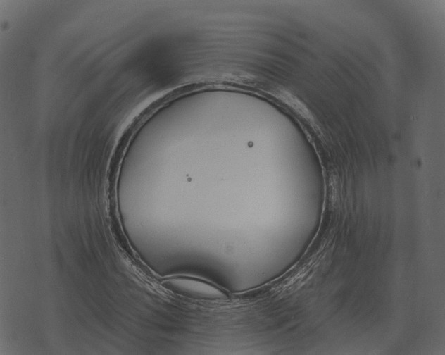 X0000073451020200608251700