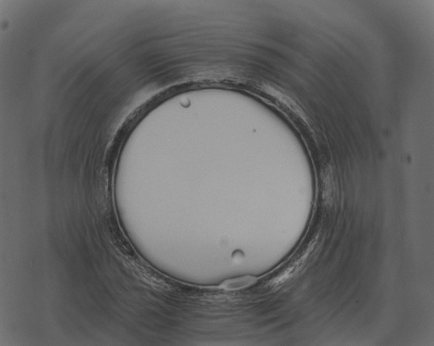 X0000073451021200608251700