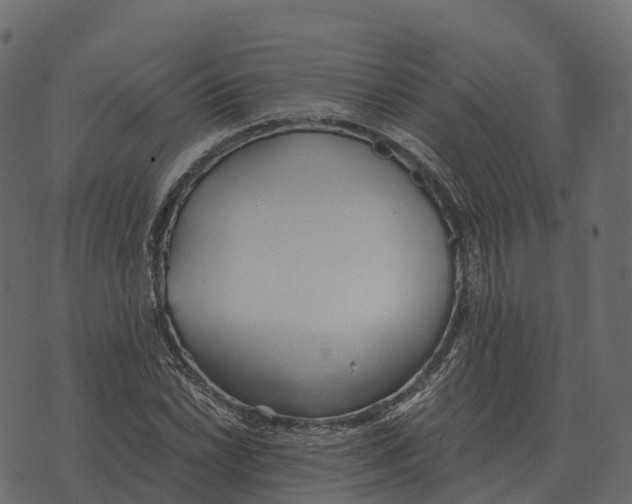 X0000073451022200608251700