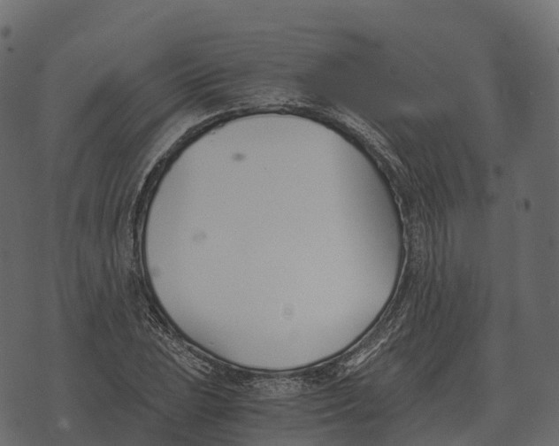 X0000073451023200608251700