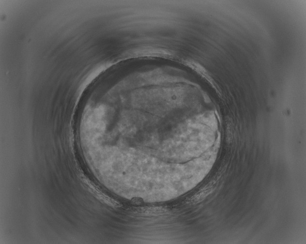 X0000073451024200608251700