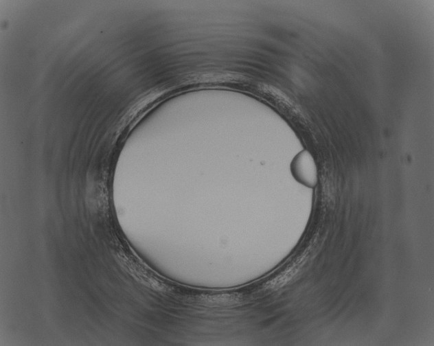 X0000073451025200608251700