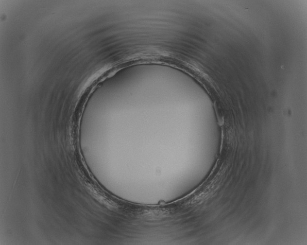 X0000073451026200608251700