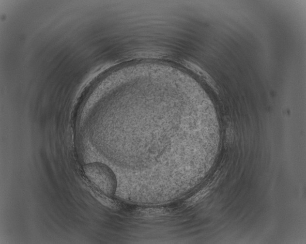 X0000073451027200608251700