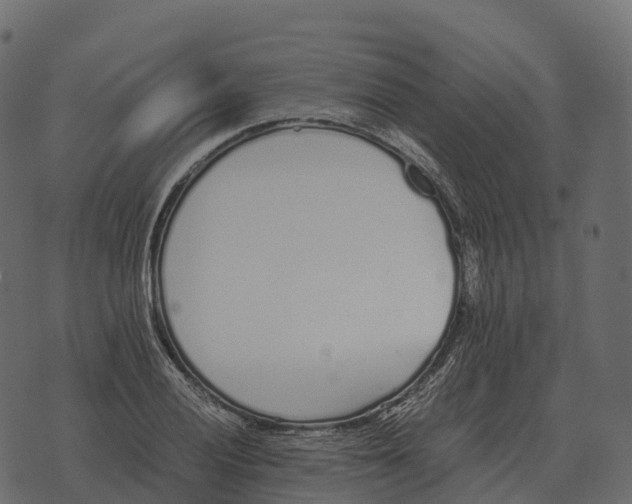 X0000073451028200608251700