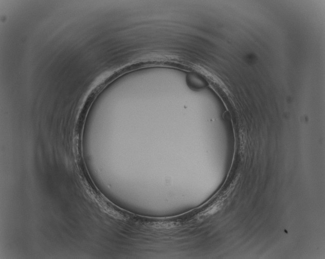 X0000073451029200608251700