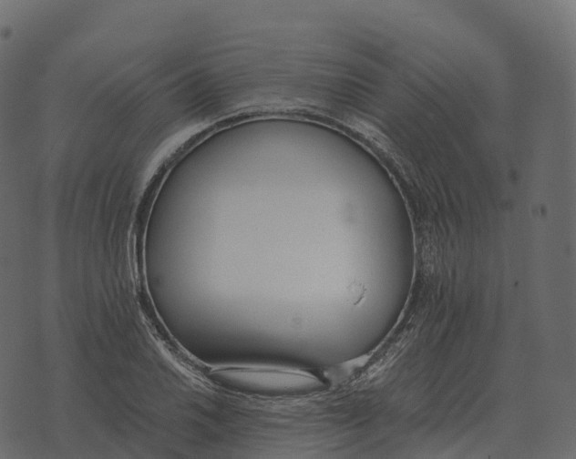 X0000073451030200608251701