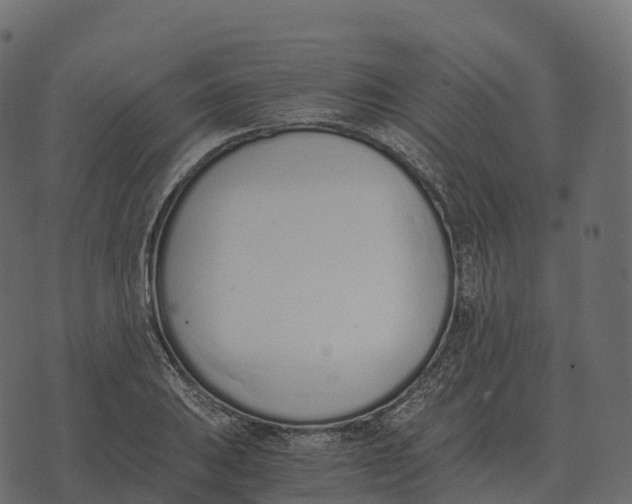 X0000073451031200608251701