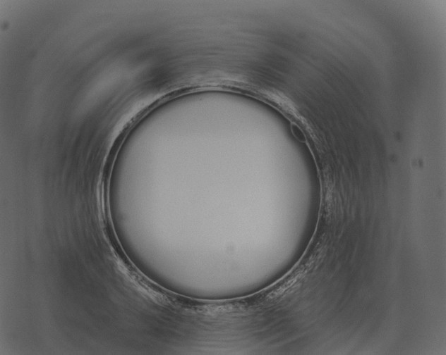 X0000073451032200608251701