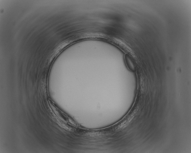 X0000073451033200608251701