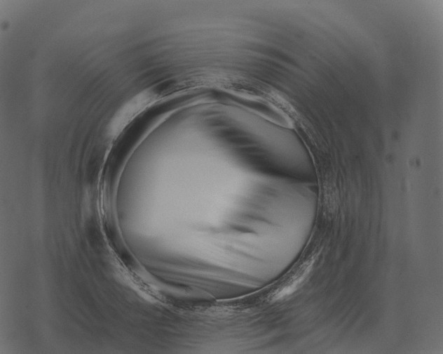 X0000073451034200608251701