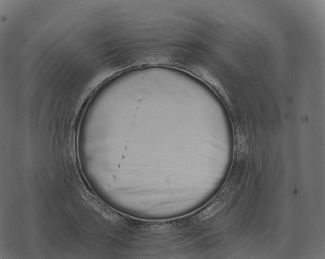 X0000073451035200608251701