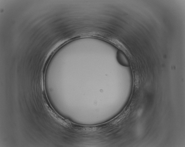 X0000073451036200608251701