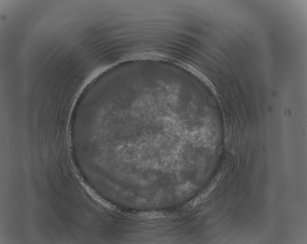 X0000073451037200608251701