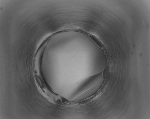 X0000073451038200608251701