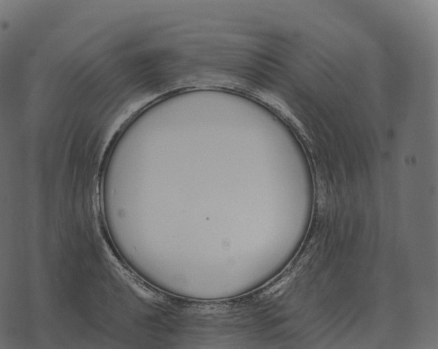 X0000073451040200608251701