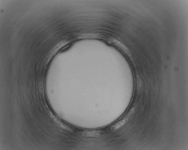 X0000073451041200608251701