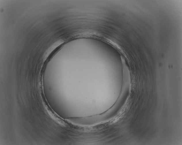 X0000073451042200608251701